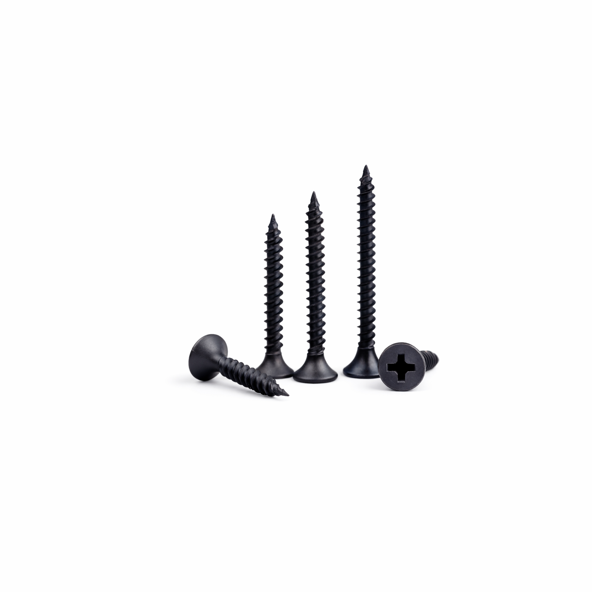 Drywall Screw