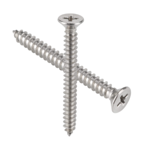 SS Screws